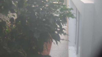 Cámara en directo: Hyderabad